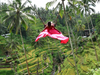 10 Fun Ways to Practice Eco-Sustainability While Traveling